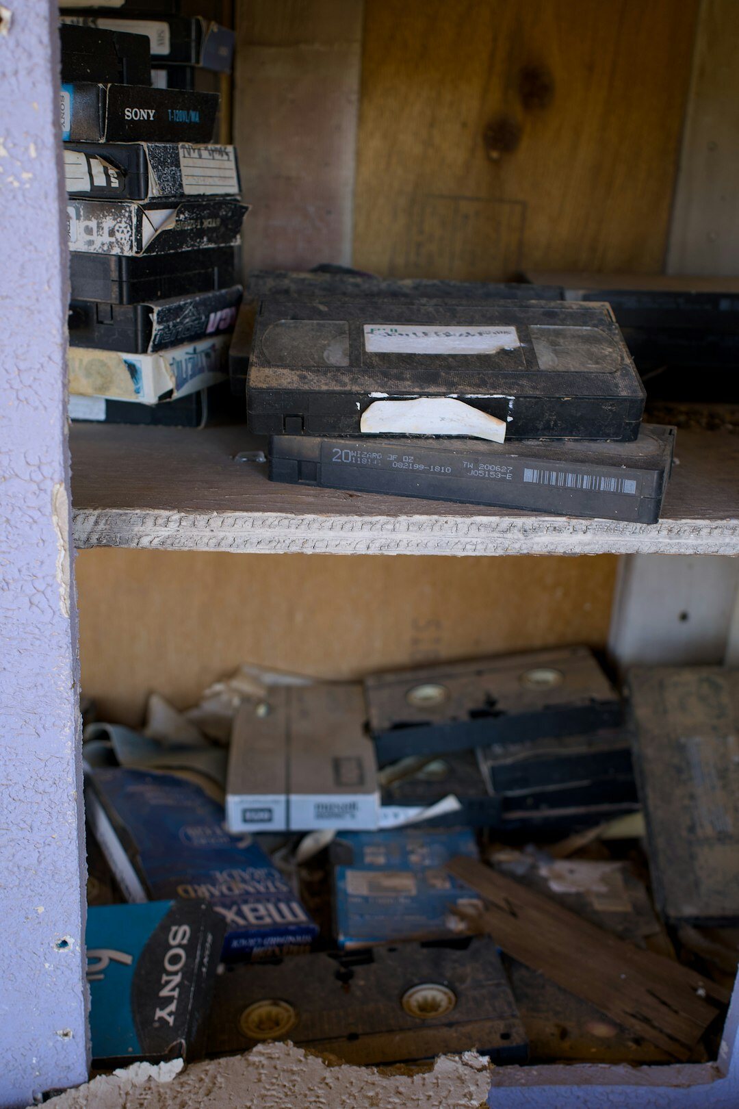 Archive shelves filled with labeled vintage film reel boxes and video cassettes